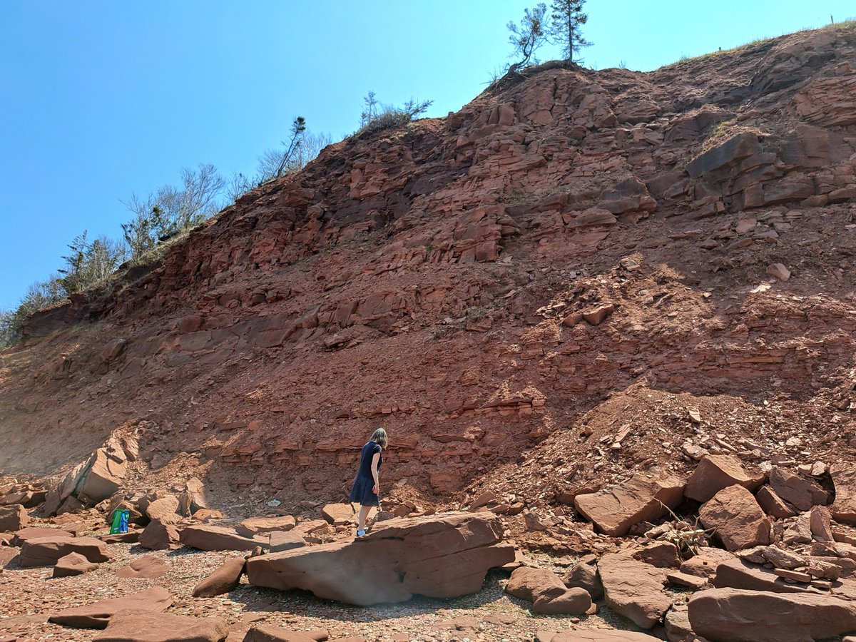 Always Anon PEI tweet media