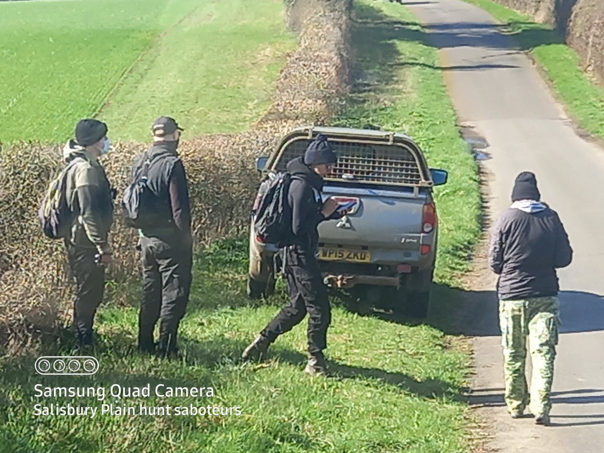 Salisbury Plain Hunt Sabs (Moonrakers) tweet media