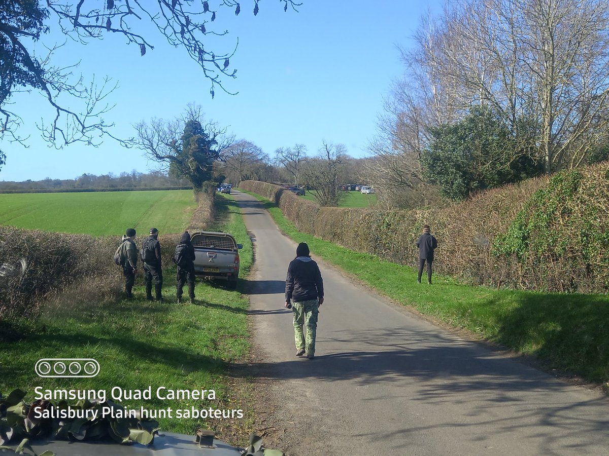Salisbury Plain Hunt Sabs (Moonrakers) tweet media