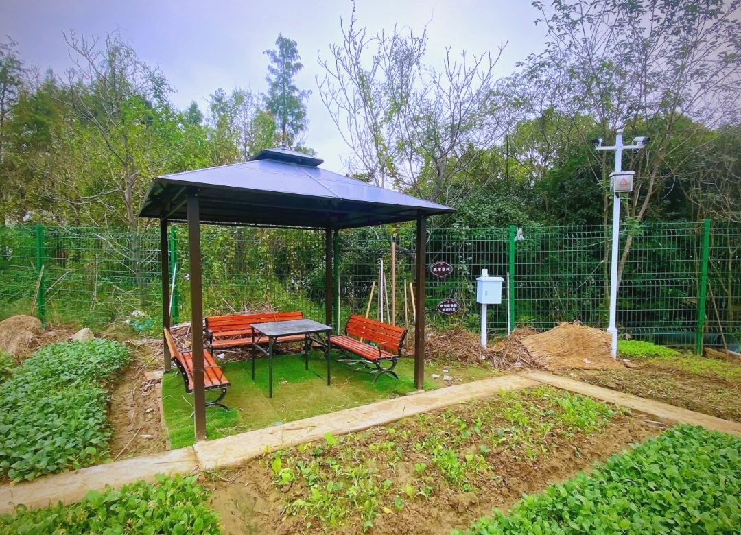 david tirado tweet media