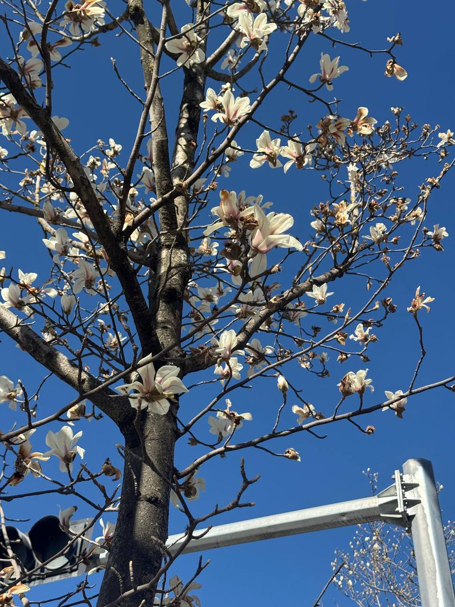 ATENX4E's tweet photo. GOOD MORNING ☁️🌞 https://t.co/oL5lS3Be8K