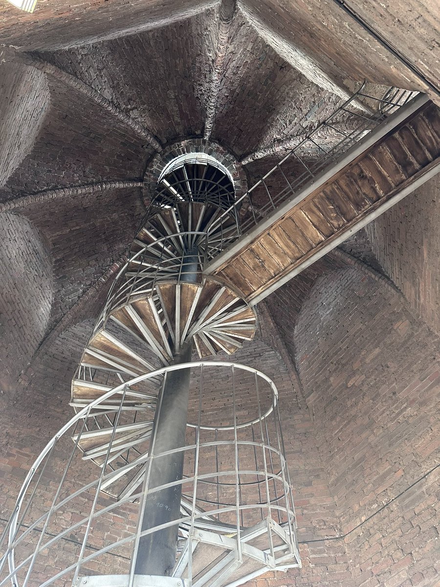 Simmo 🦊 tweet media