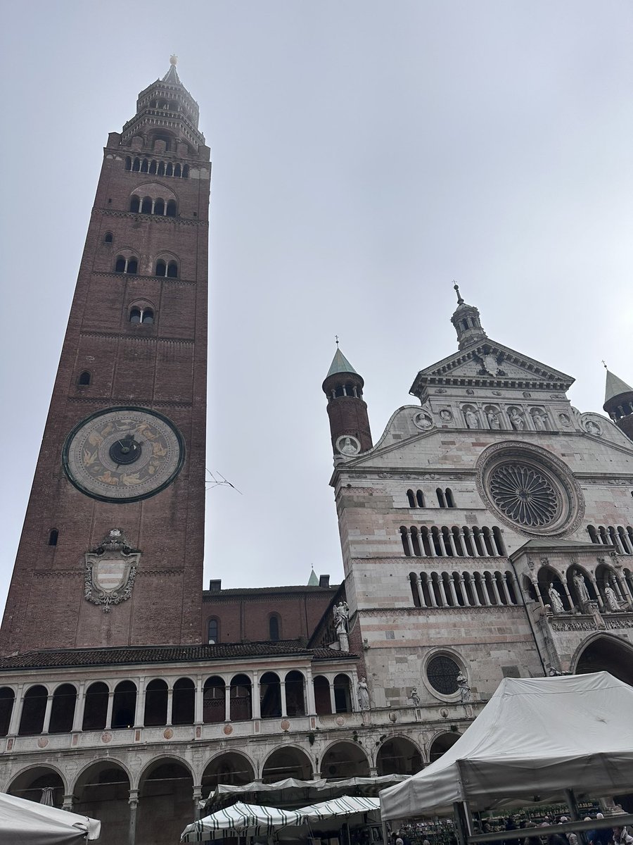 Simmo 🦊 tweet media