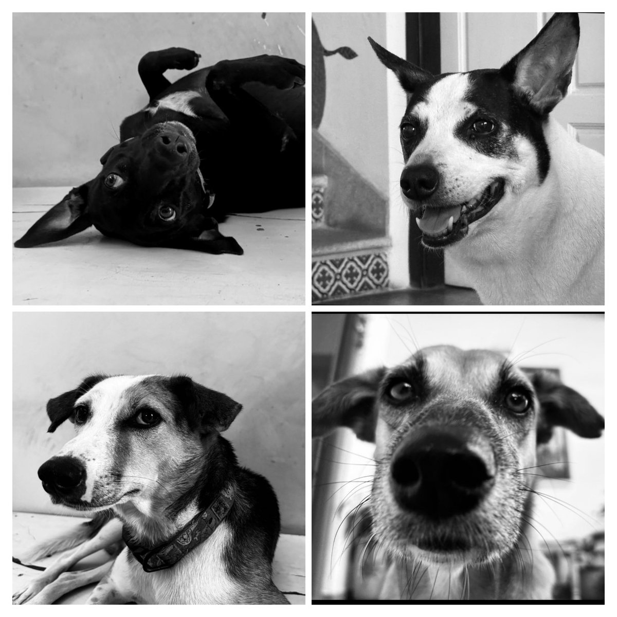 Aparna Karthikeyan tweet media