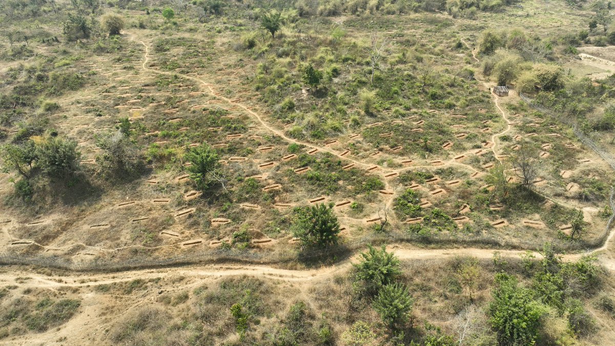 RO Samantiapalli tweet media