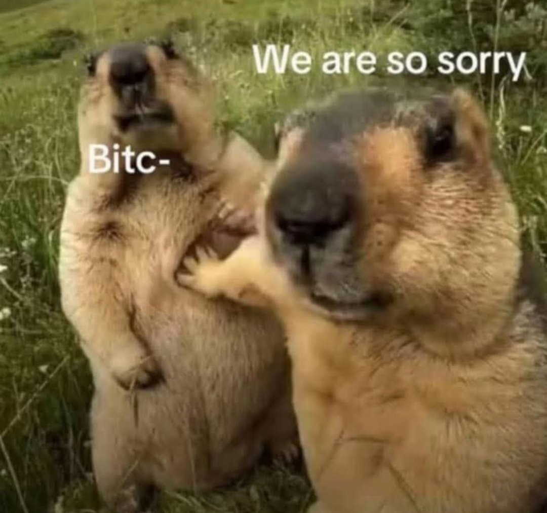 LazySanto🀄 tweet media