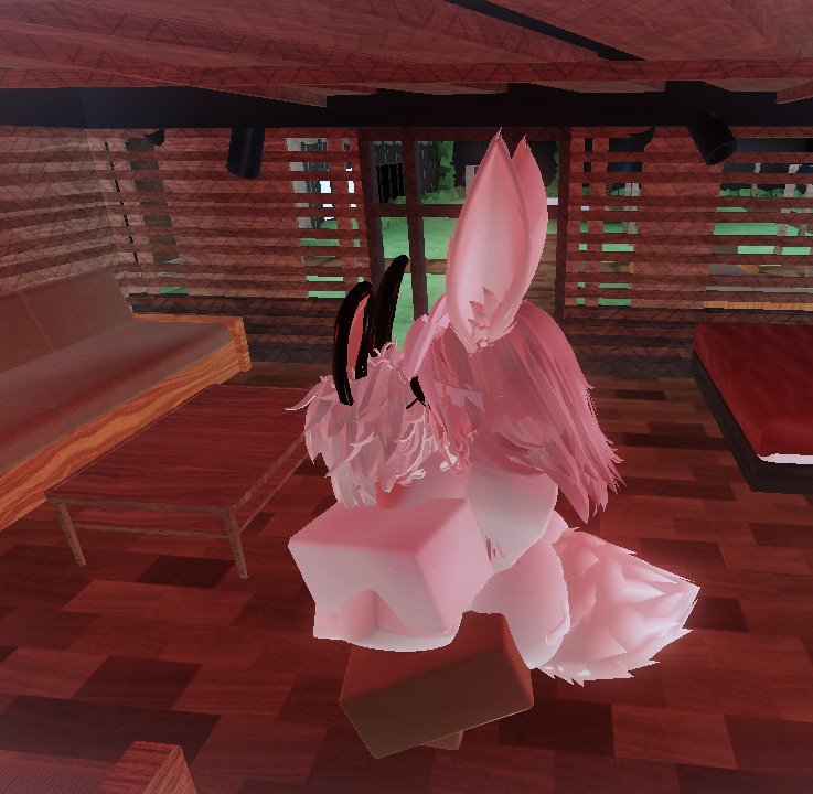 แม่สาวกระต่าย🐰🐰 tweet media