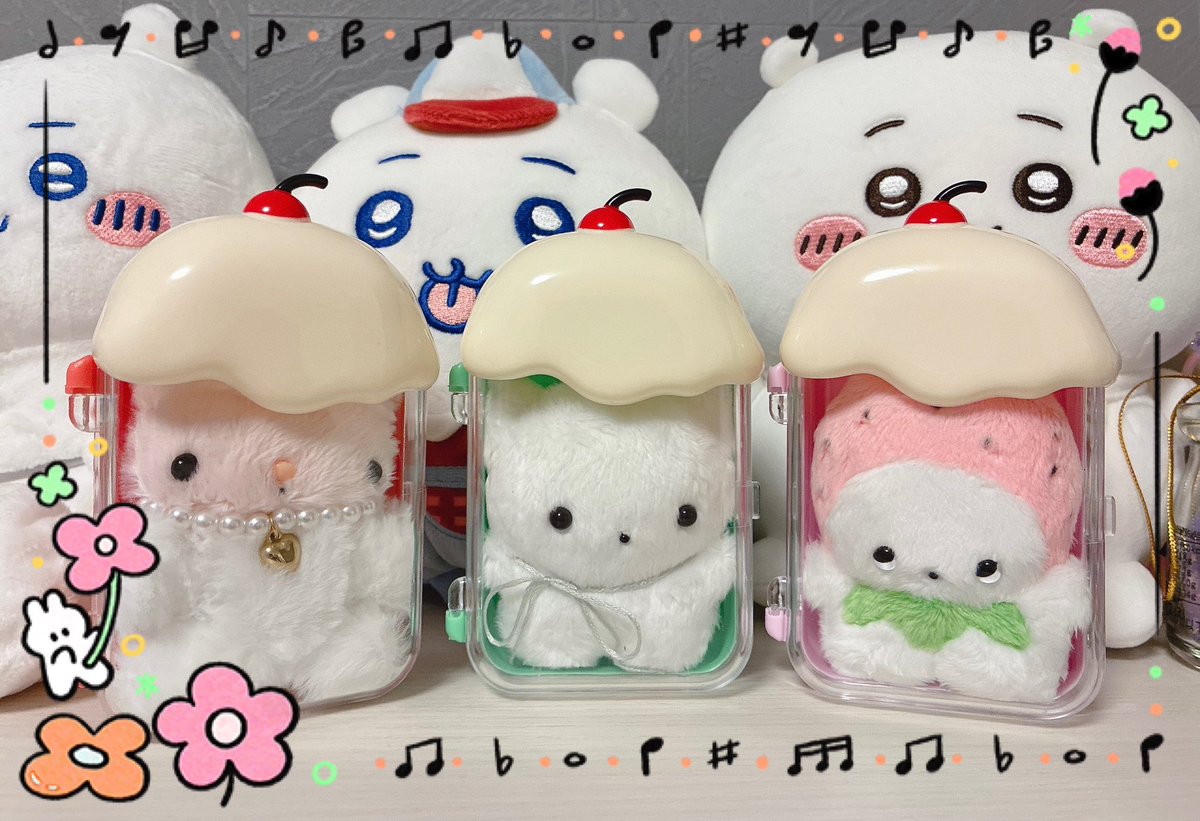 ちいも。 tweet media