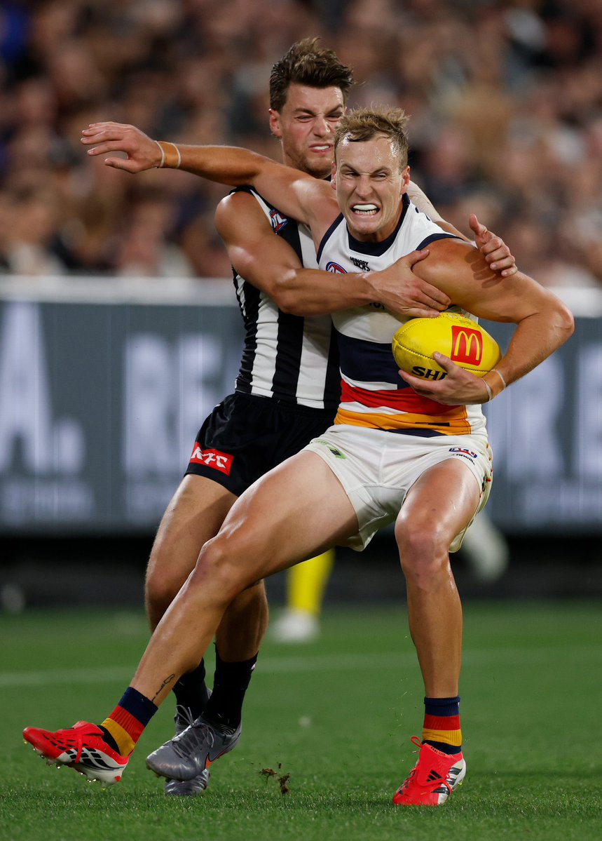 PiesNation tweet media