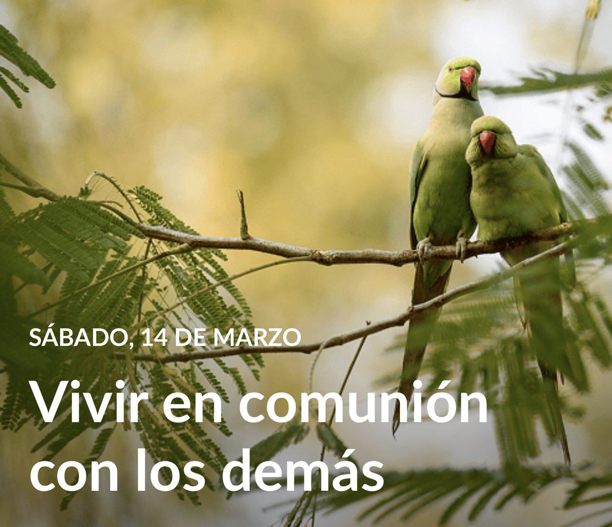 #LESAdv | Sábado 
“La Biblia pone delante de nosotros una iglesia modelo. Ha de haber unidad entre ellos y con Dios. Cuando los creyentes están unidos a Cristo, la vid viviente, el resultado es que son uno en Cristo, llenos de simpatía y ternura y amor” (EGW)

#YoEstudioMiLección