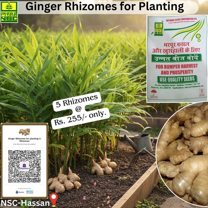 National Seeds Corporation Limited tweet media