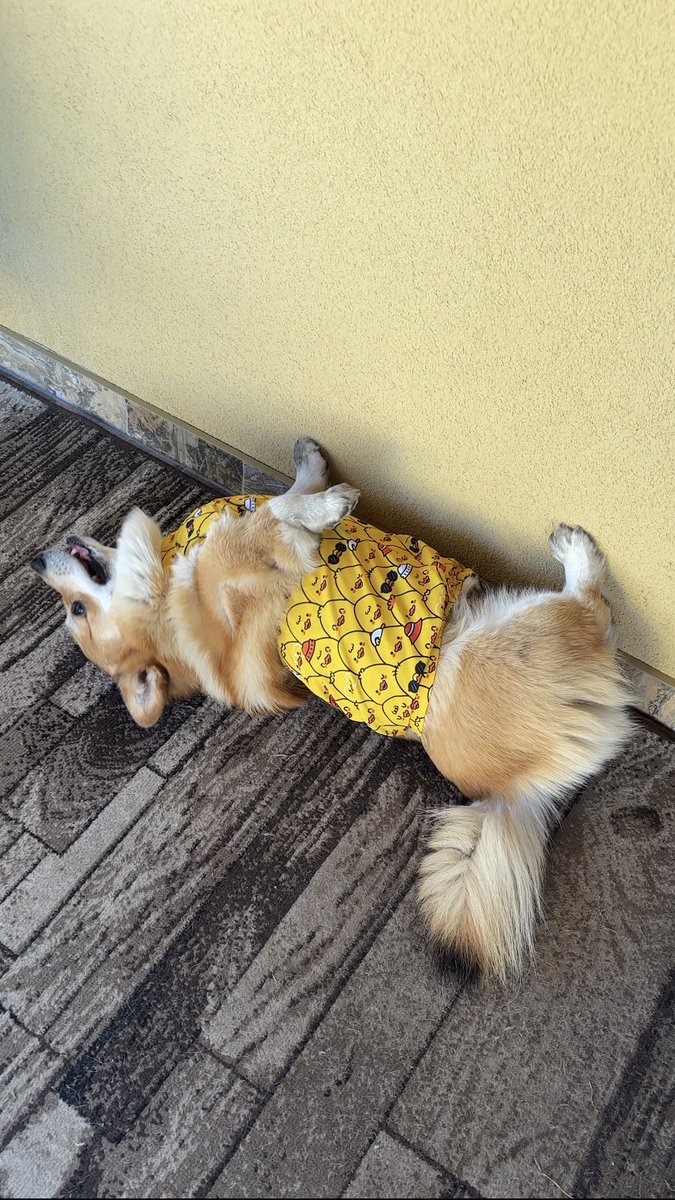 тривожна пані tweet media