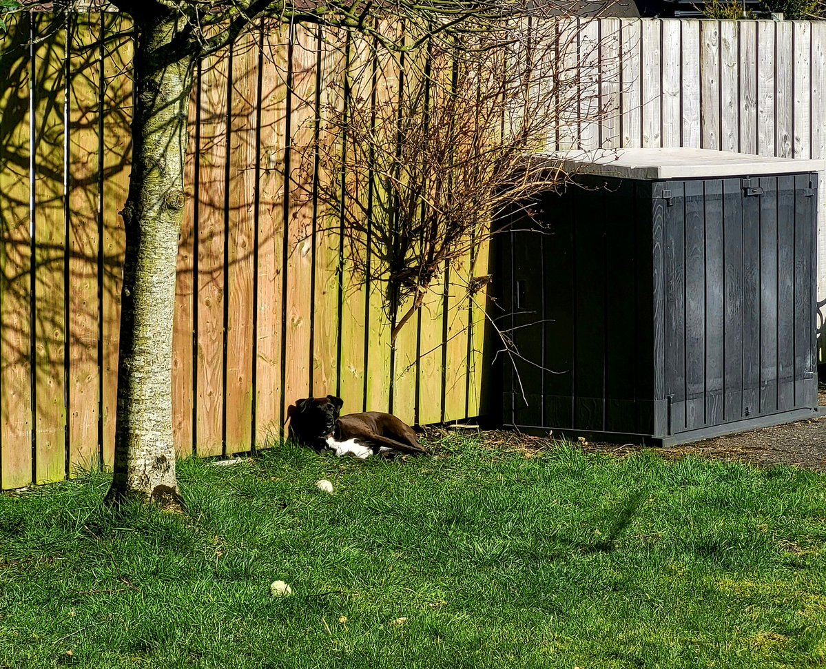 Cecilia Daly tweet media