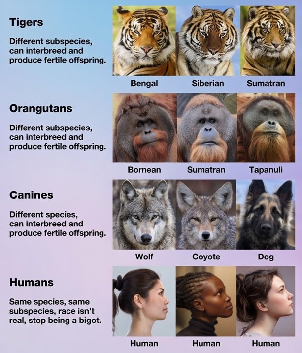 Letlhogonolo tweet media