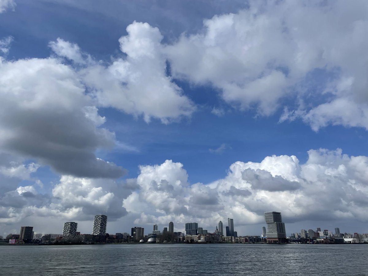 Marjolijn vd Assem tweet media