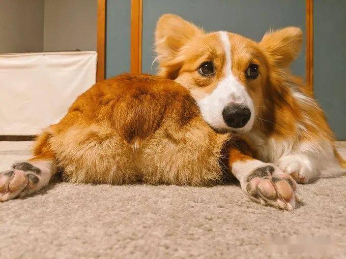 The Traucsirqt tweet media