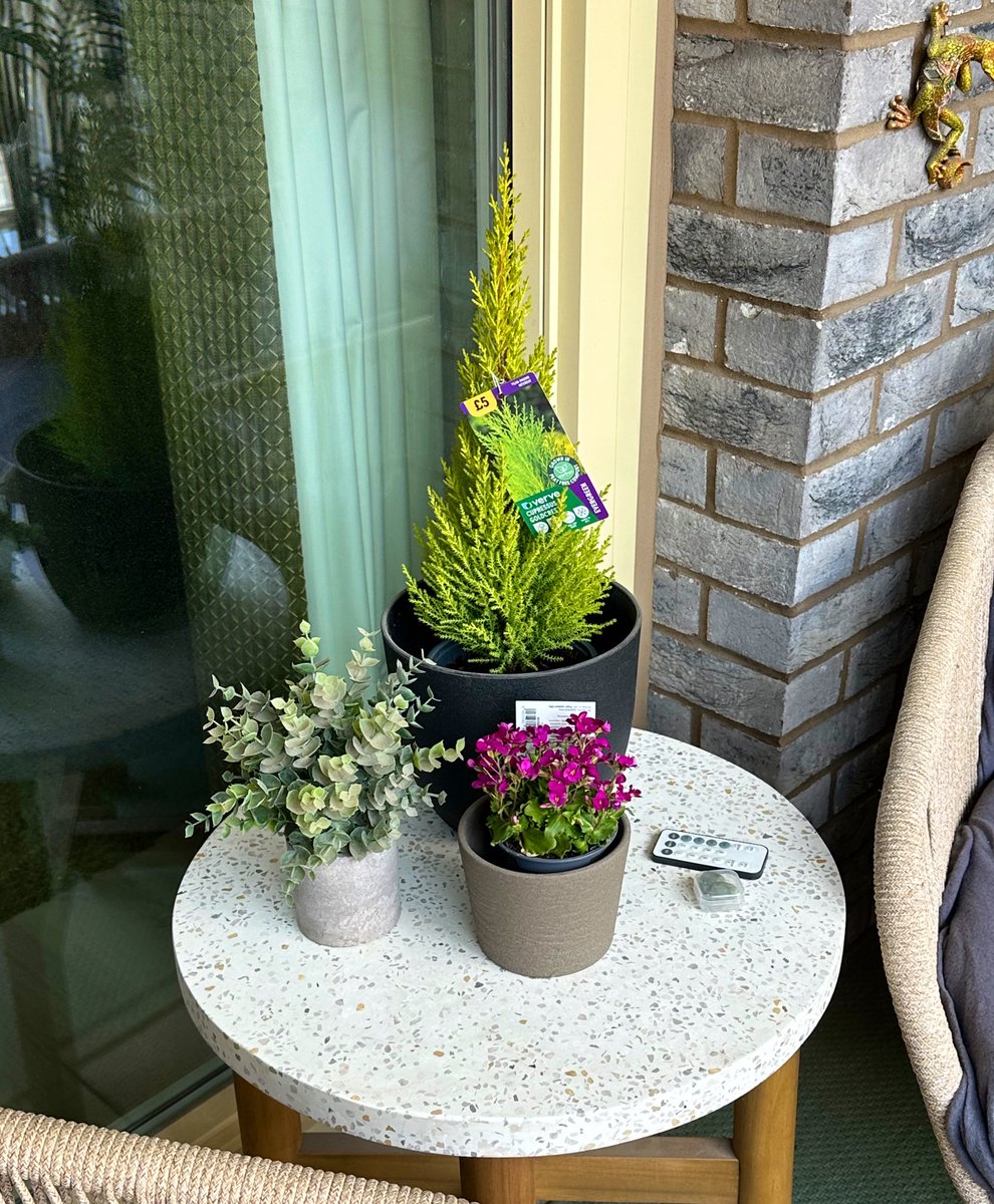 Miss Wobble tweet media