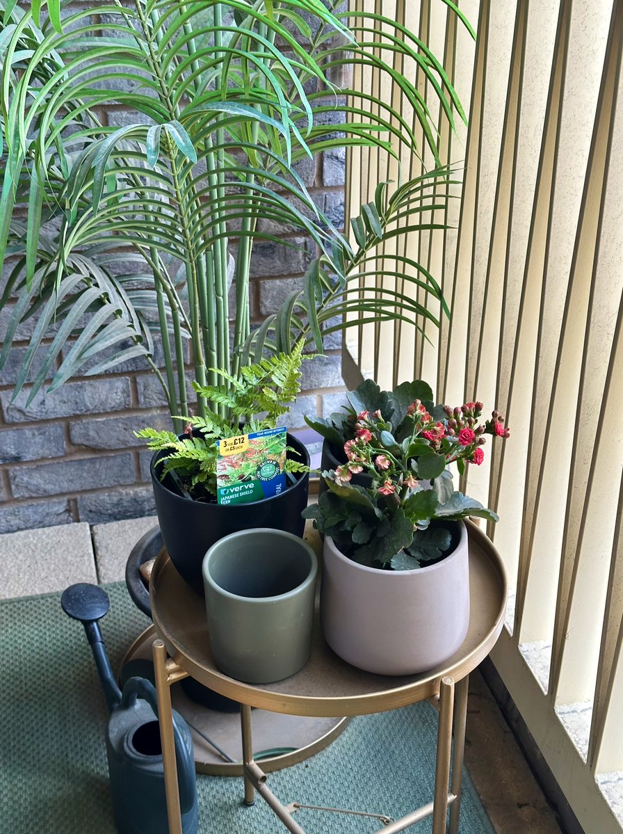 Miss Wobble tweet media