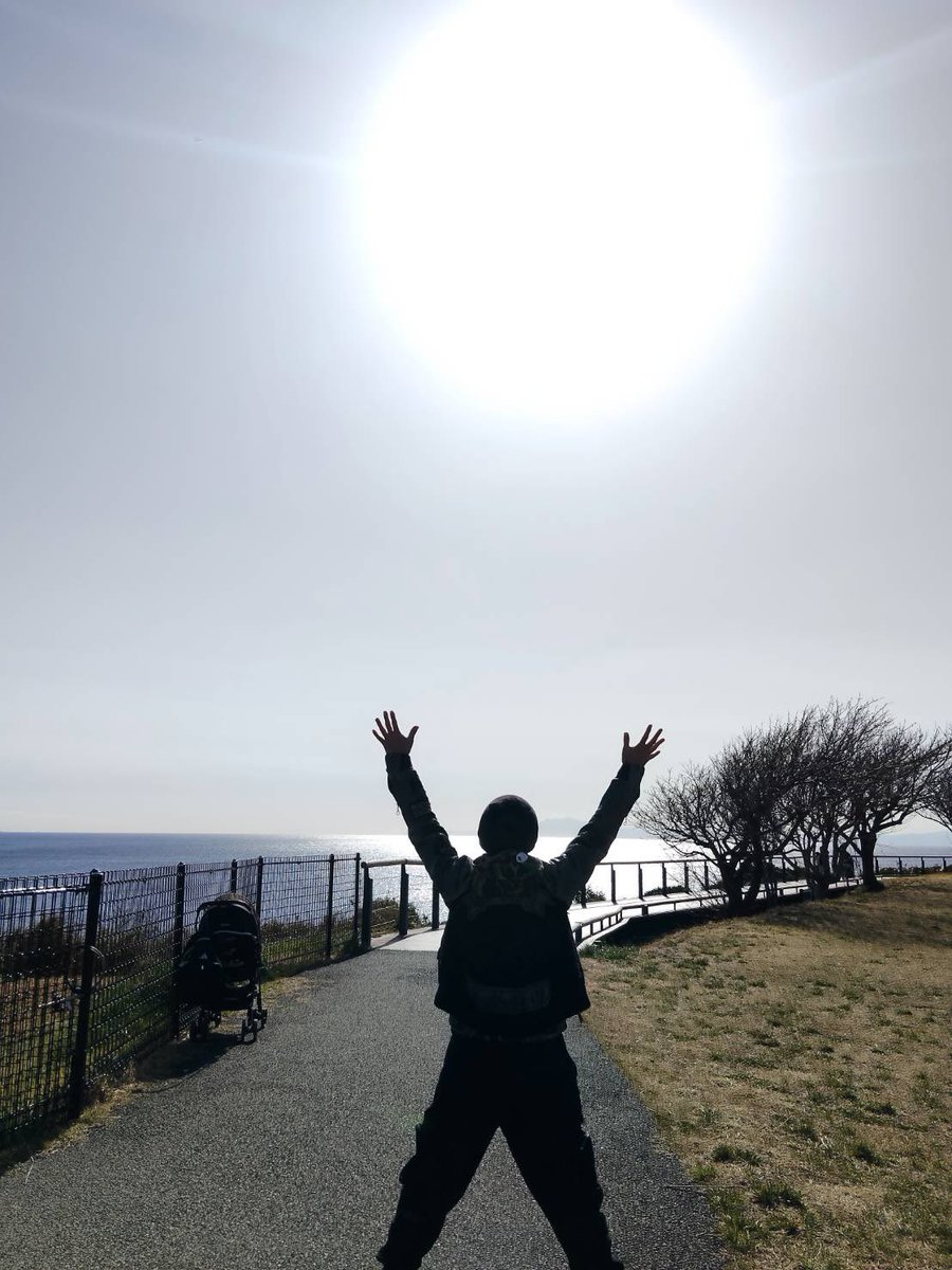 katsura -桂- tweet media