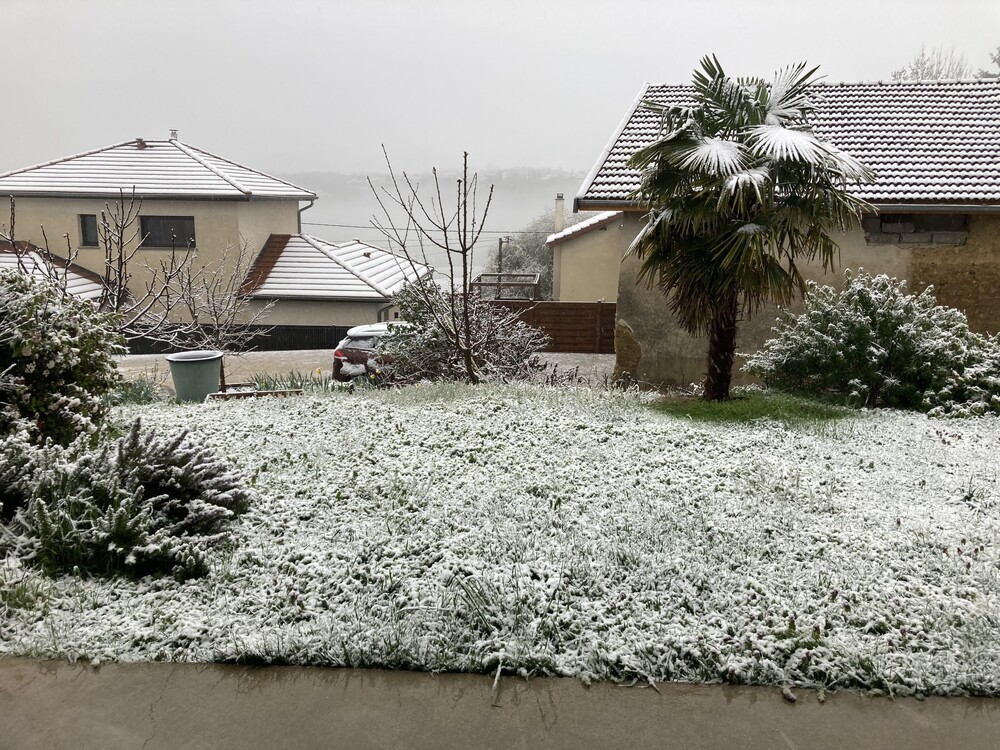 Asso Infoclimat tweet media