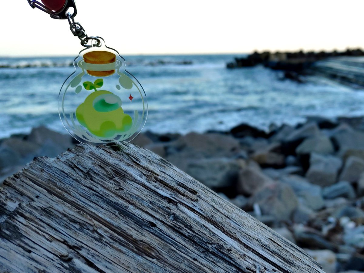 クルーちゃん、海だよ🌊🪸