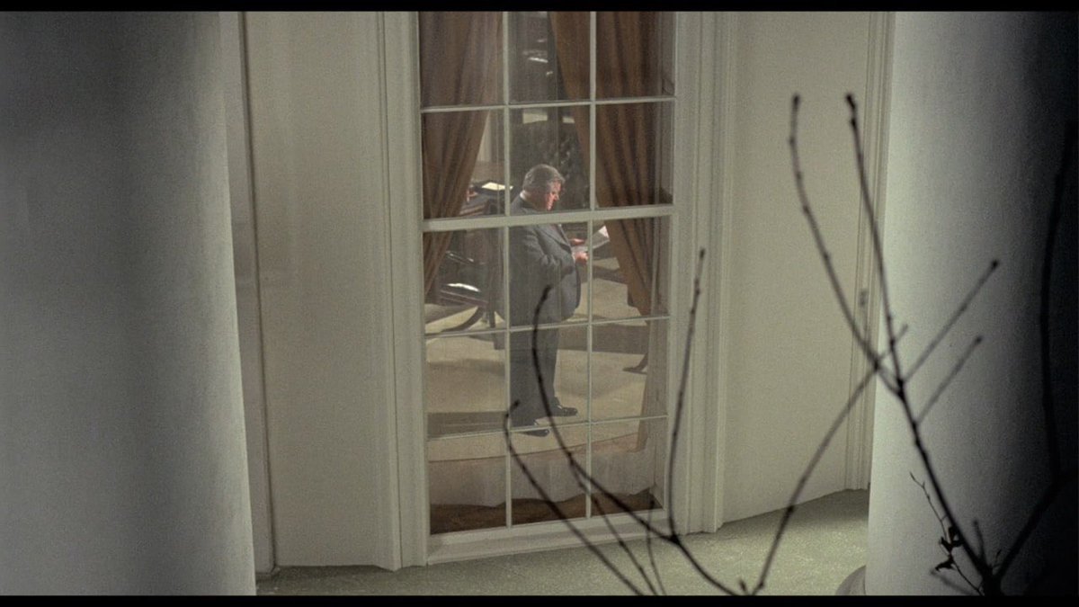 Werner Herzog's missing shoe tweet media