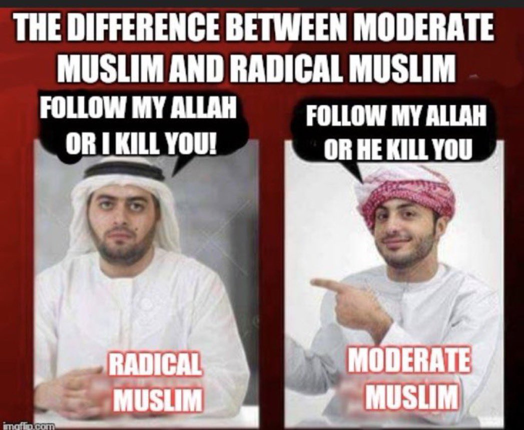 Gunther Eagleman™ tweet media