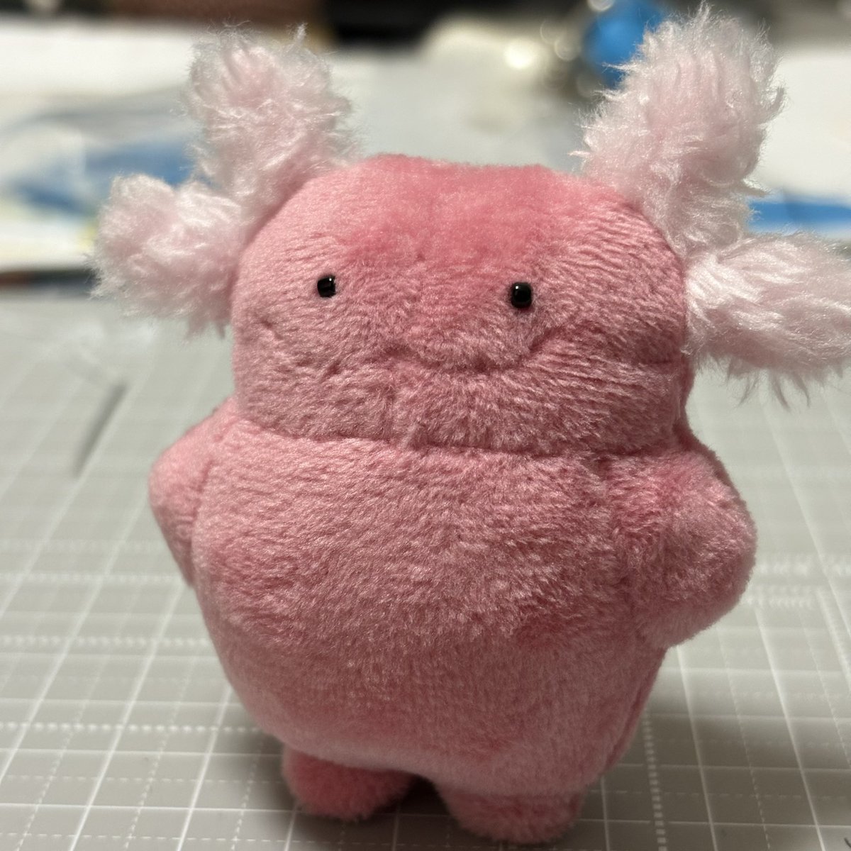 もぐらっぴやさん tweet media