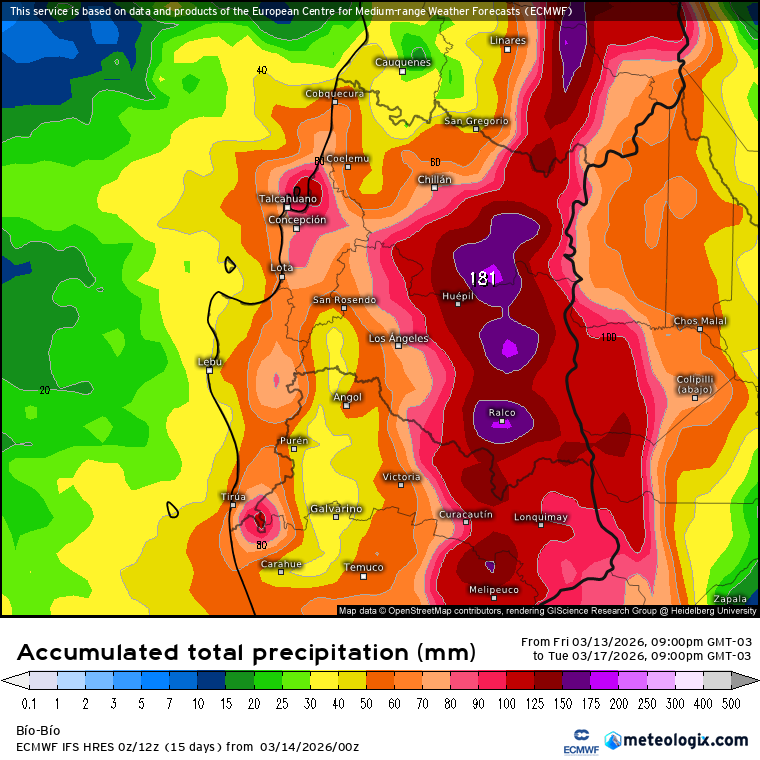 Bãlensiã 🌵 tweet media