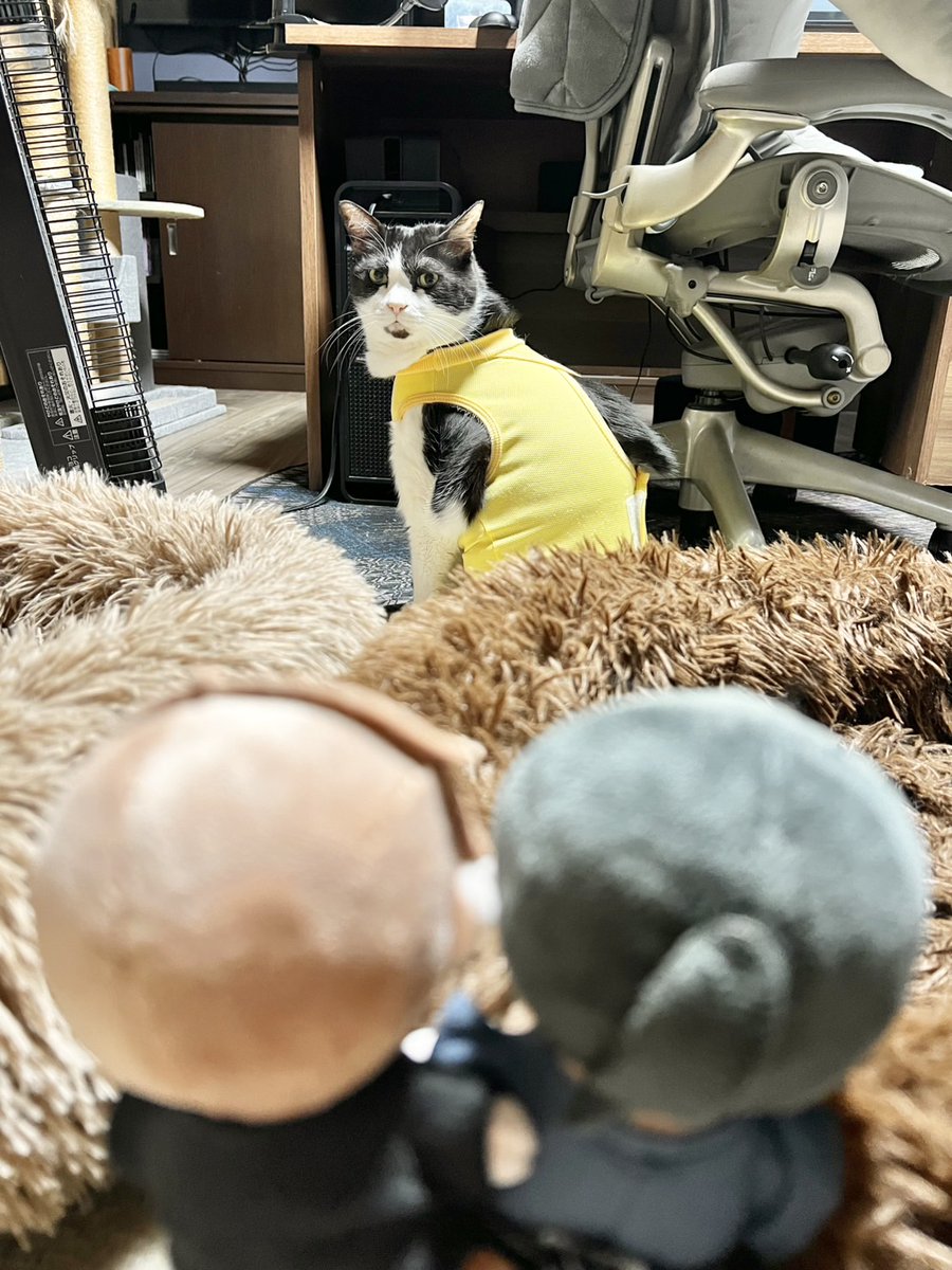 みちのくアタミ tweet media