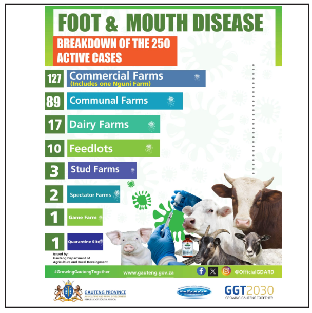 OfficialGDARD's tweet photo. Update: Foot & Mouth Disease (FMD) Active Cases in Gauteng
We are monitoring 250 active cases of Foot & Mouth Disease across the province.
#GrowingGautengTogether #GDARD #FootAndMouthDisease #FMDUpdate #GautengAgriculture #Biosecurity #LivestockHealth #GGT2030 https://t.co/m200o2EFVr
