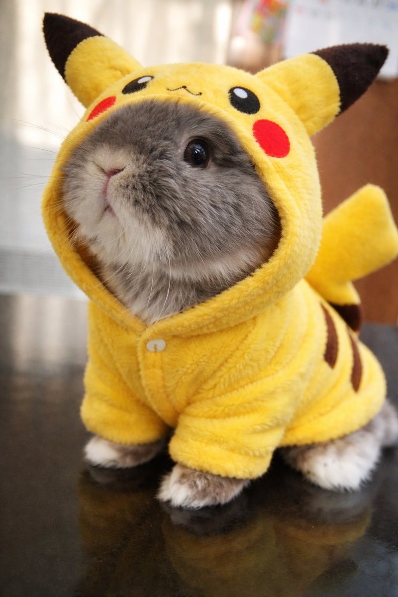 まーちゃん tweet media