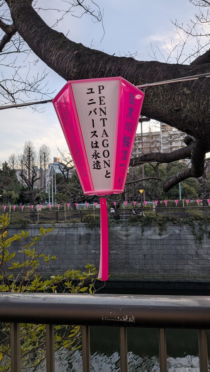 lily96558625's tweet photo. 今年もPENTAGONのぼんぼりあった！ありがとうございます✨️ https://t.co/U3OUzupEuY
