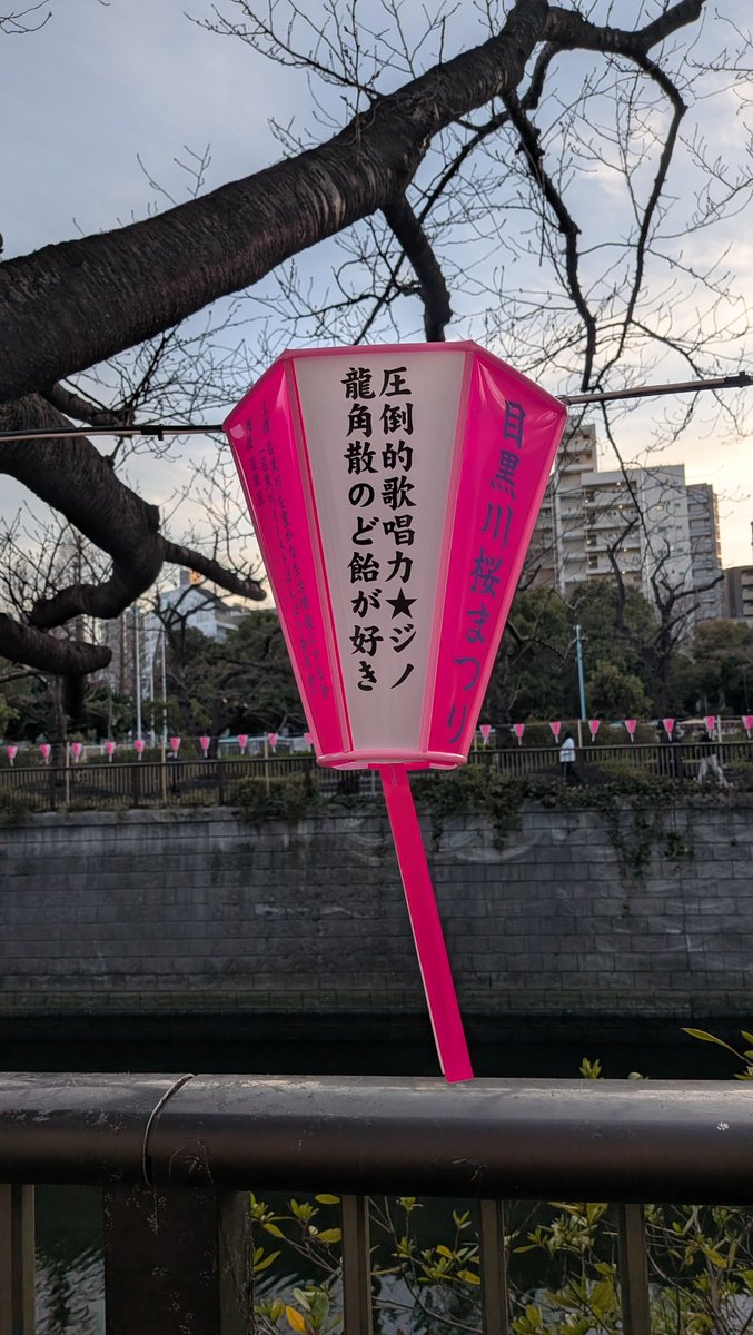 lily96558625's tweet photo. 今年もPENTAGONのぼんぼりあった！ありがとうございます✨️ https://t.co/U3OUzupEuY