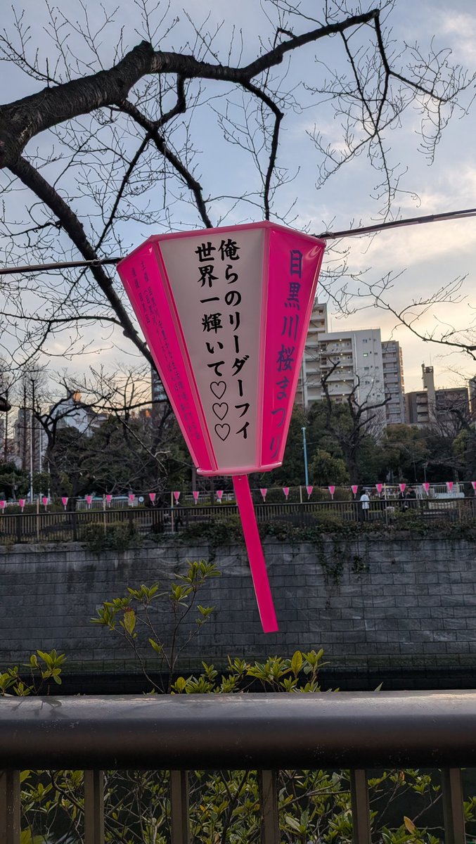 lily96558625's tweet photo. 今年もPENTAGONのぼんぼりあった！ありがとうございます✨️ https://t.co/U3OUzupEuY