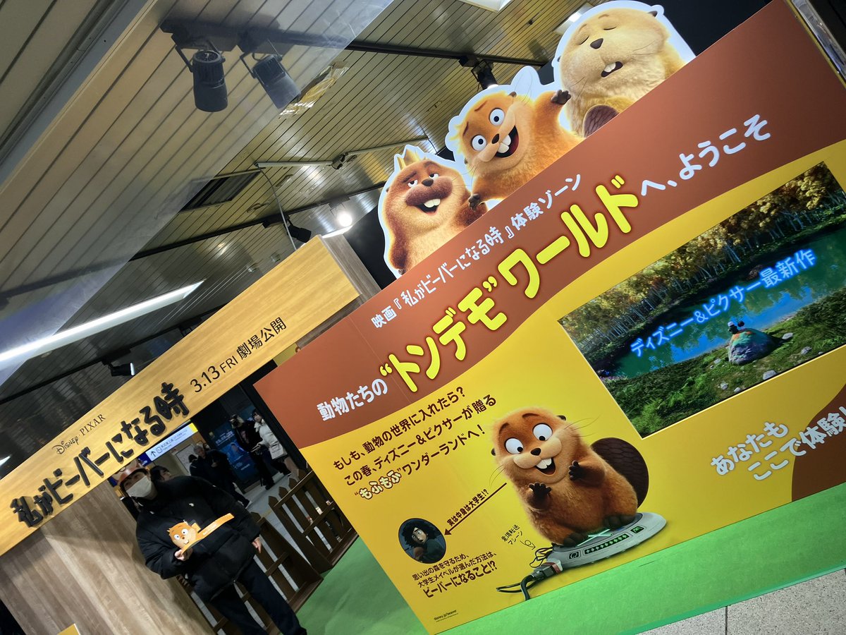 ルーちゃん🦘byちわわくん tweet media