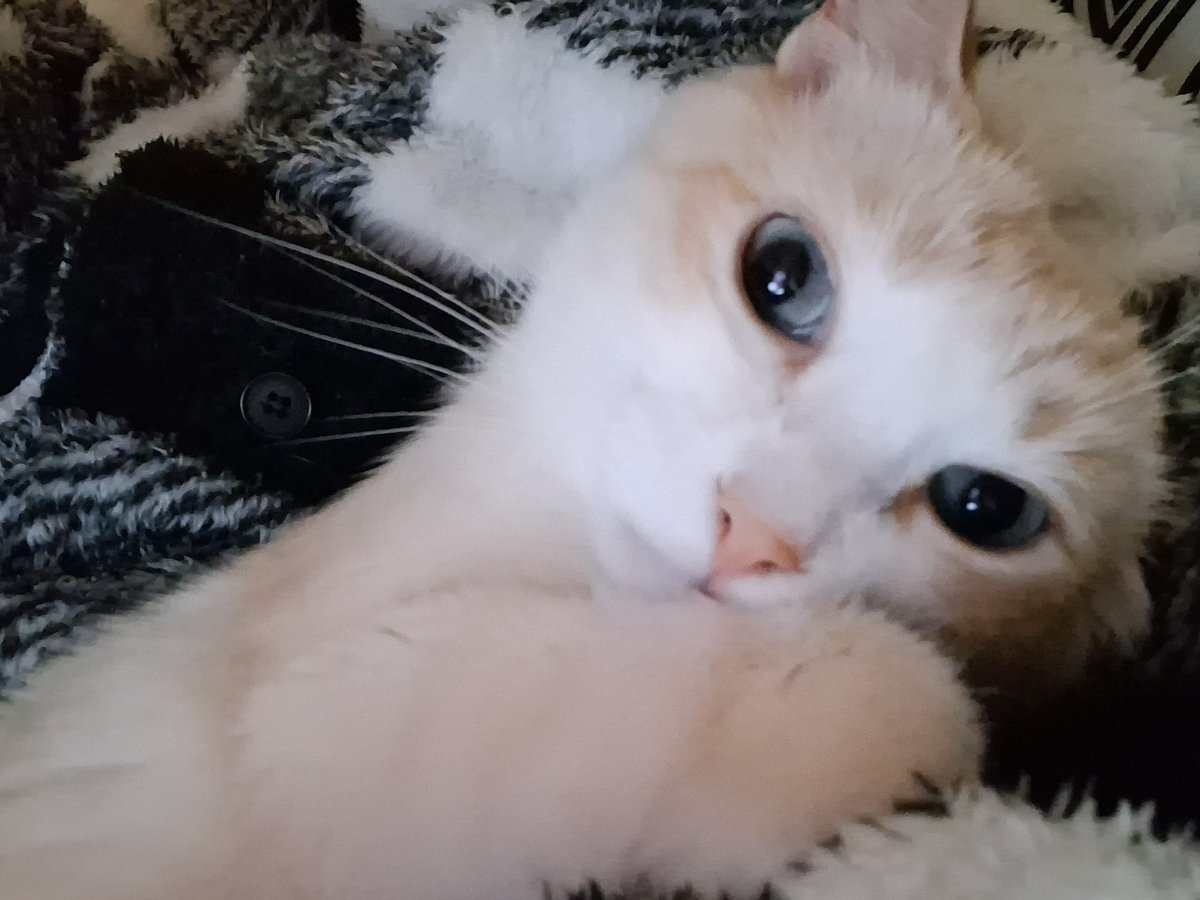 Boikkot's tweet photo. 🥰 https://t.co/uzhyP9OPSR