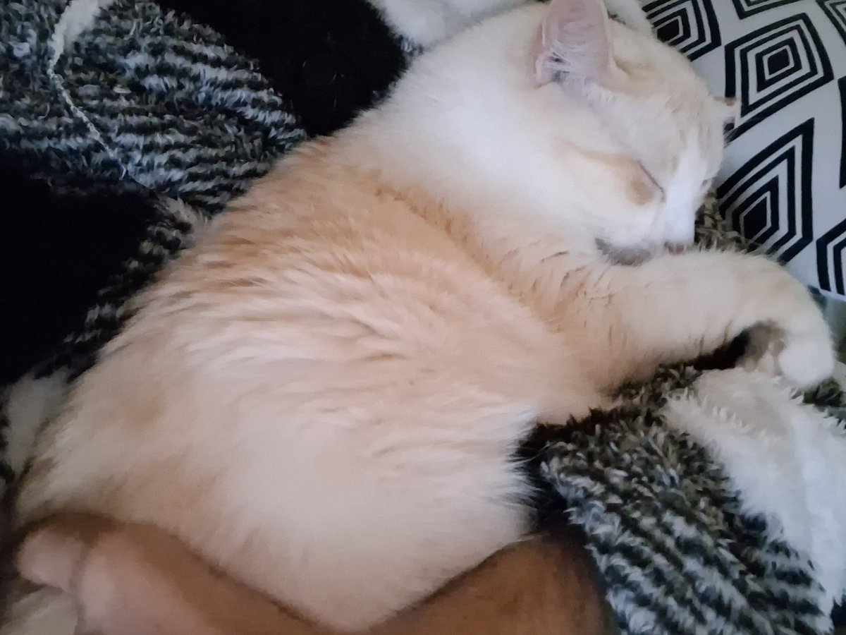 Boikkot's tweet photo. 🥰 https://t.co/uzhyP9OPSR