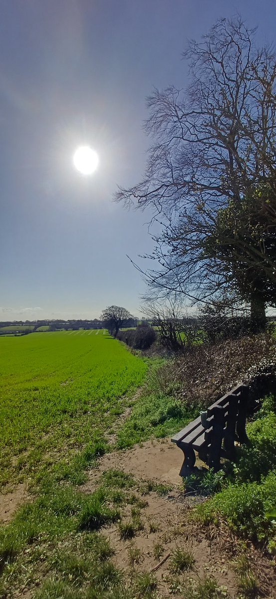 Mel Hewitt tweet media