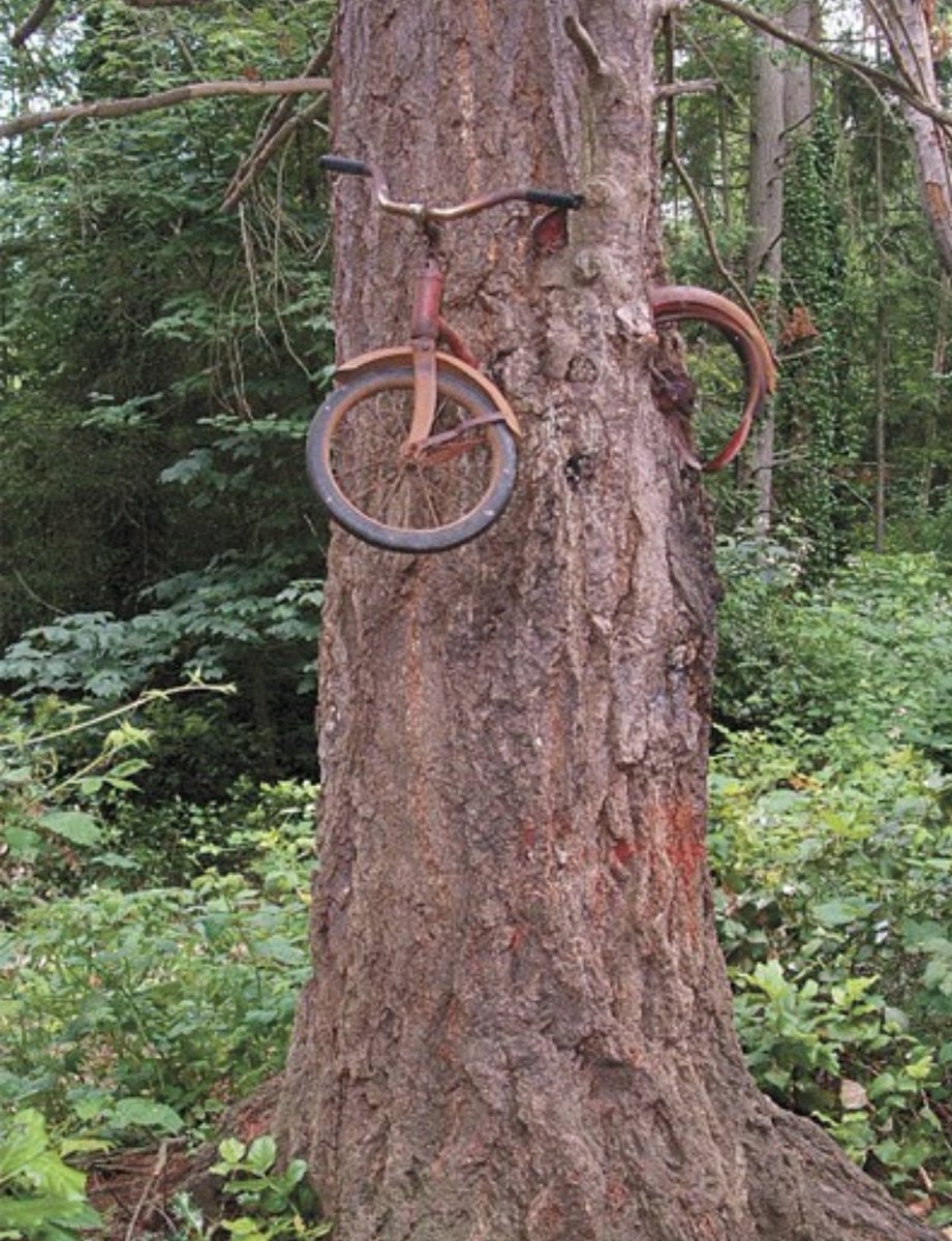 World's Amazing Things tweet media