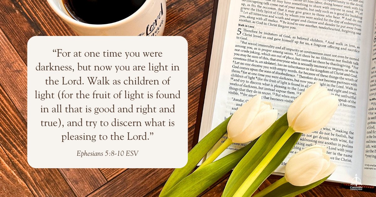 ConcordiaPub's tweet photo. "People endure debilitating disabilities—blindness, deafness—and these ailments are not punishment for sin. Without intervention, people in darkness and utter silence remain isolated. Jesus attends wholeheartedly to those who live in darkness and silence. He illuminates minds and hearts with faith, so that people would confess Him as Lord. He heals the blind so that people would see who He is! Christ’s amazing miracles confound the arrogant and enlighten the repentant." —Worship Planning Book, Year A