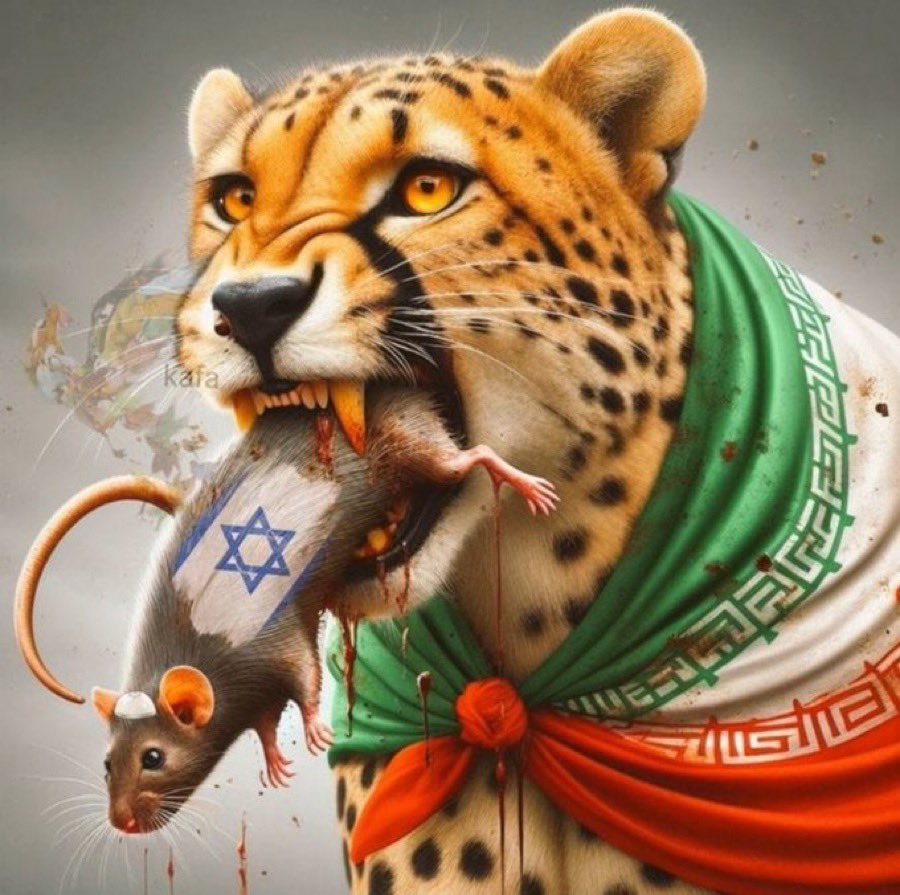 Elham Karim Parvini tweet media