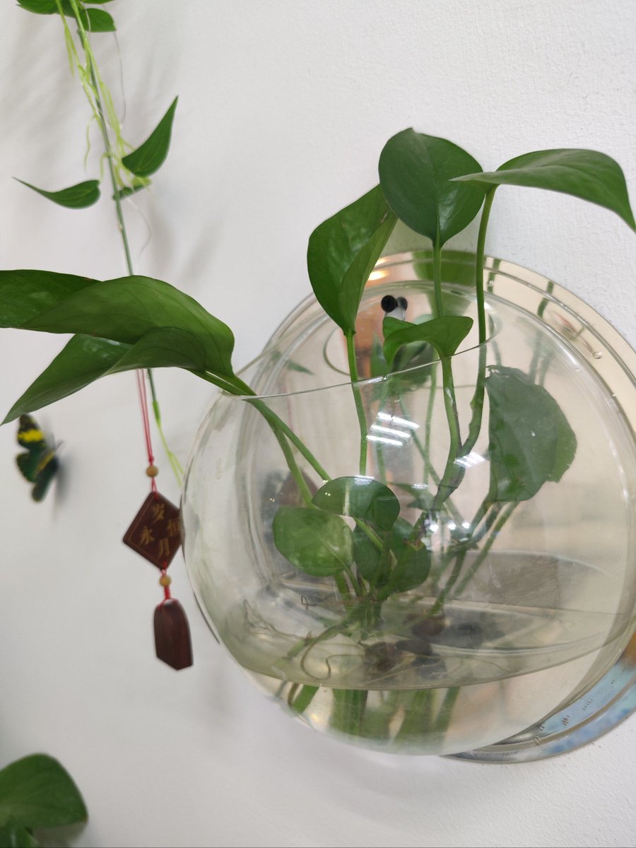 Валик Самойлов tweet media