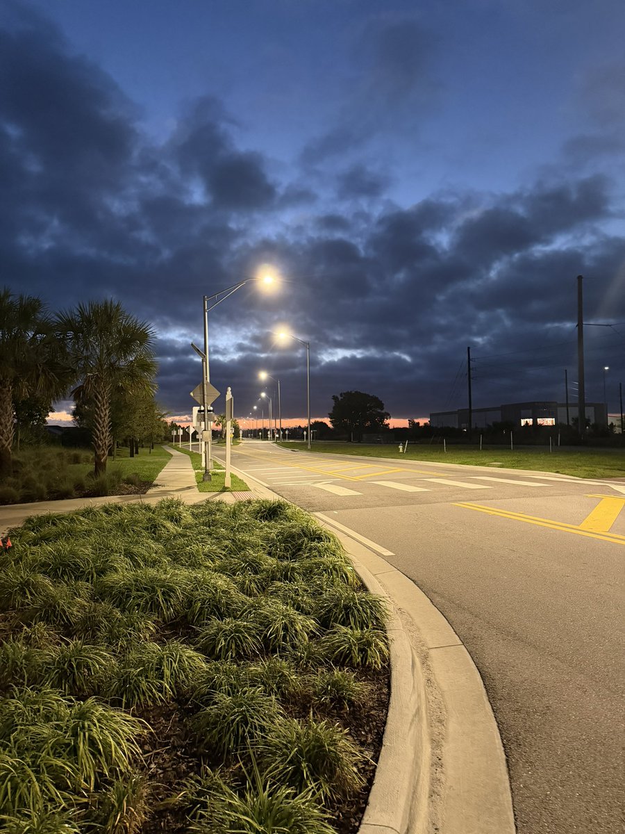 Steve Dawson tweet media