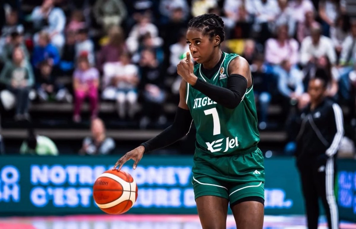 DTigress tweet media