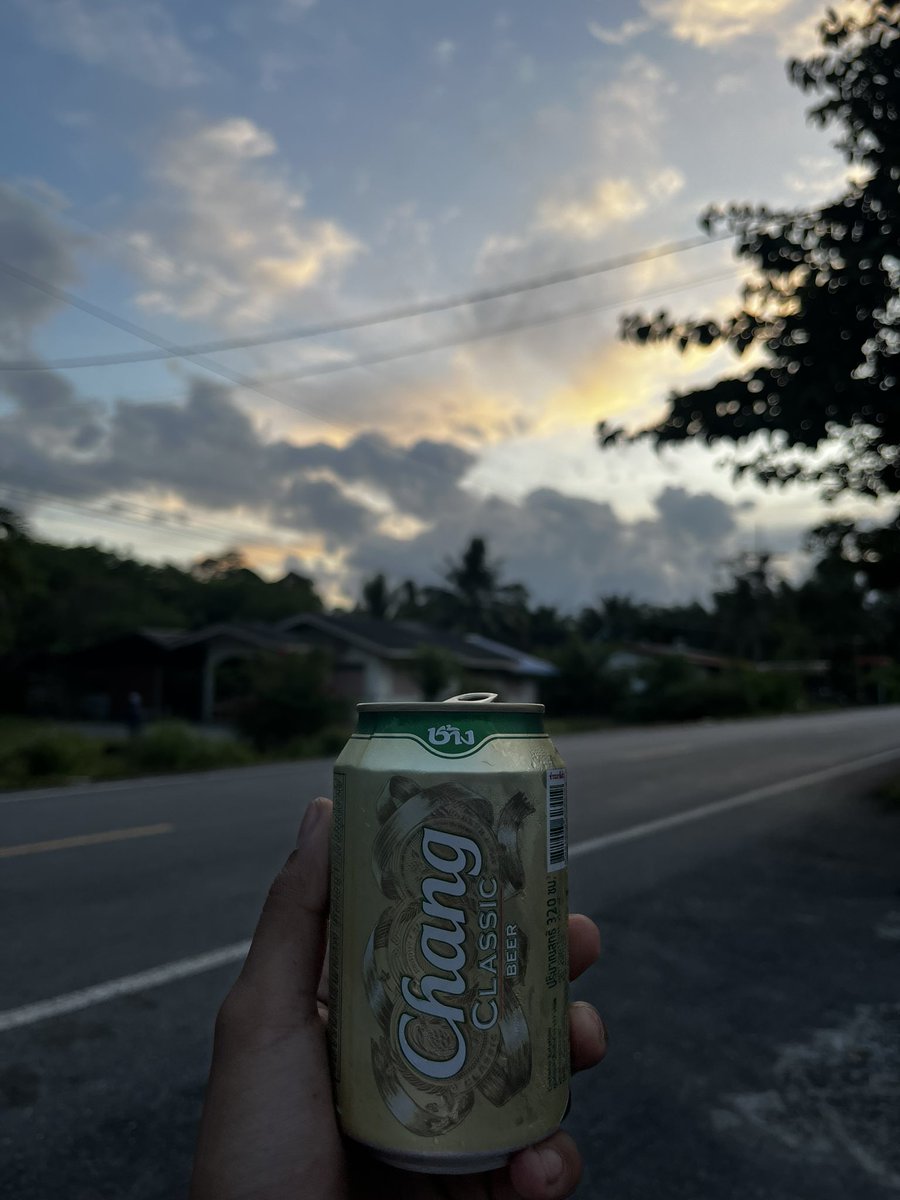 🤍🌻 tweet media