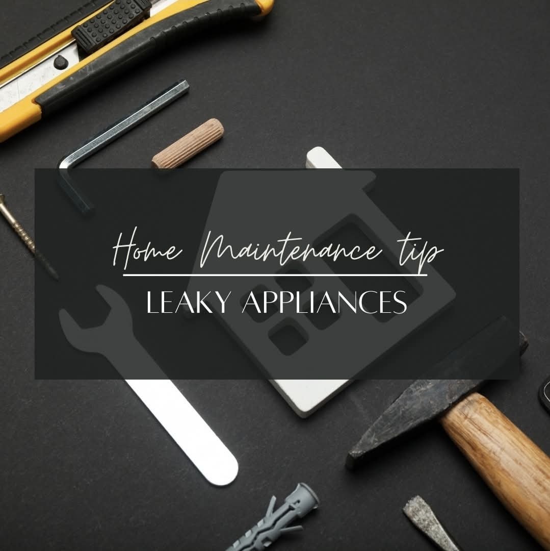 MVHomesRealtor's tweet photo. Leaky Appliances Before They Cause Bigger Issues! 🔧
A small leak can turn into major damage if ignored. Here’s what to do:

✅ Check seals & hoses – Look for cracks, loose connections, or worn-out parts.
✅ Clean drain filters – Clogged filters in dishwashers and washing machines can cause leaks.
✅ Tighten fittings – Loose water lines under sinks or behind appliances may need a simple adjustment.
✅ Inspect for rust & corrosion – These are signs of wear that could lead to bigger problems.
✅ Call a pro if needed – If leaks persist, a quick repair now can save thousands later!

🏡 Prevent water damage and keep your appliances running smoothly!

Michael Velez
Coldwell Banker Realty
📍Licensed in both FL & NJ
FL (813) 904 -0551 • NJ (973) 309-4973
michael@mvhomesfl.com
https://t.co/qqSMB5YDkb 

#realestate #realtor #westcoastofFL #northernNJ #florida #newjersey #coldwellbanker #mvhomes #mvhomesfl #michaelvelezhomes #Tarponspringsfl #TarponSprings #Pinellascounty #Tarponspringsrealestate #Tarponspringfl
#HomeMaintenance #FixLeaks #DIYRepairs #ProtectYourHome