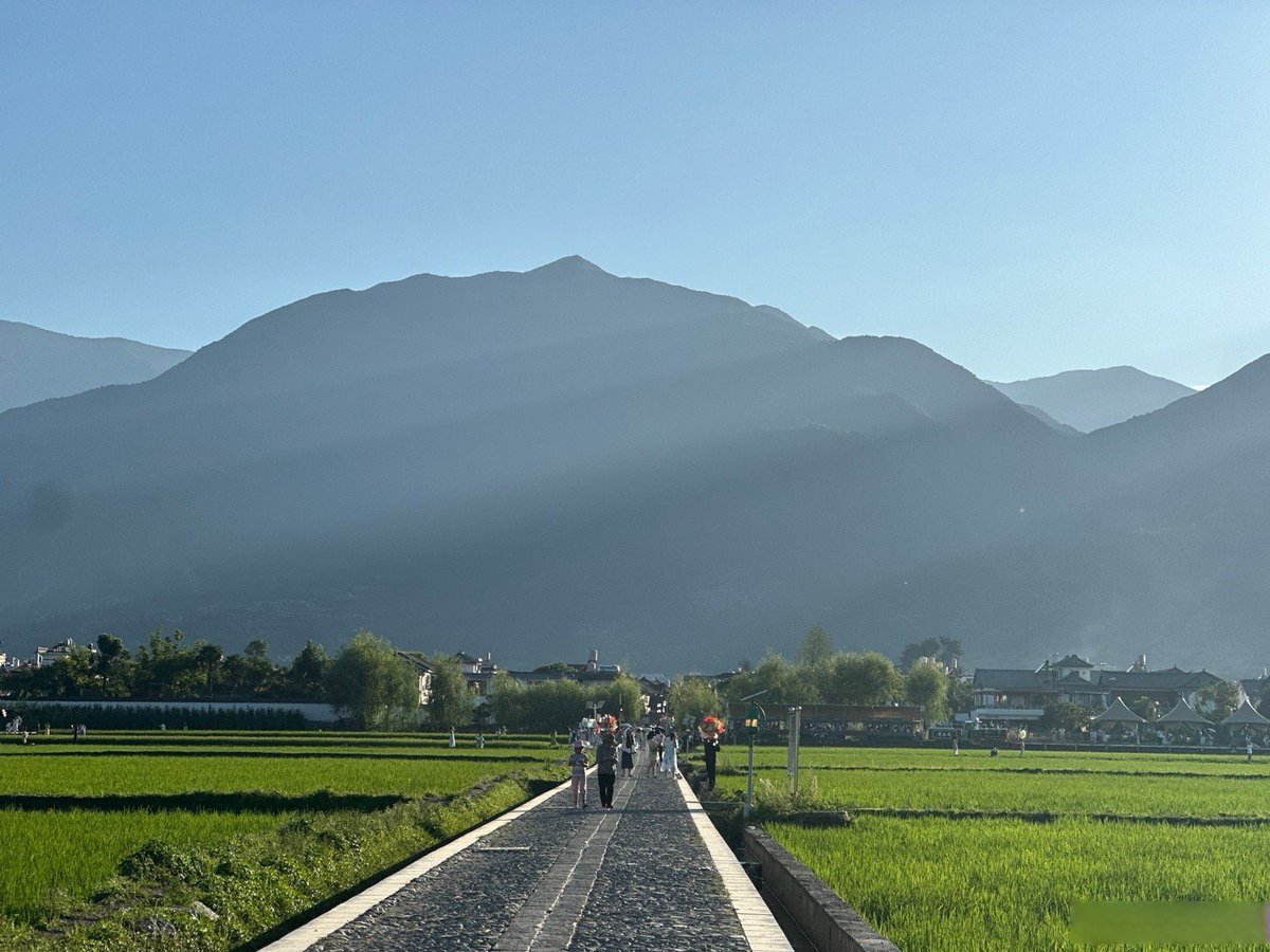 tonnroovv 投资日记 tweet media