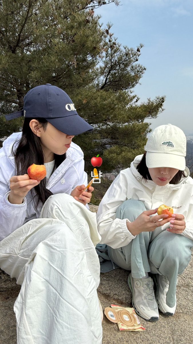 체리 tweet media