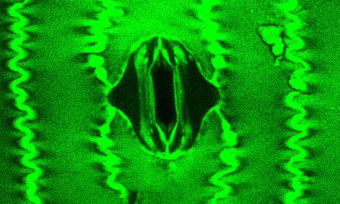 Neural Space tweet media